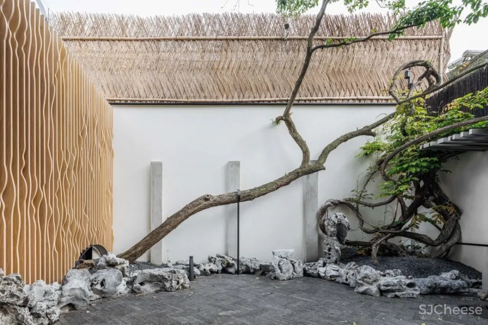 上海 100㎡ 小宅院,花 6 年建成,设计处处有亮点