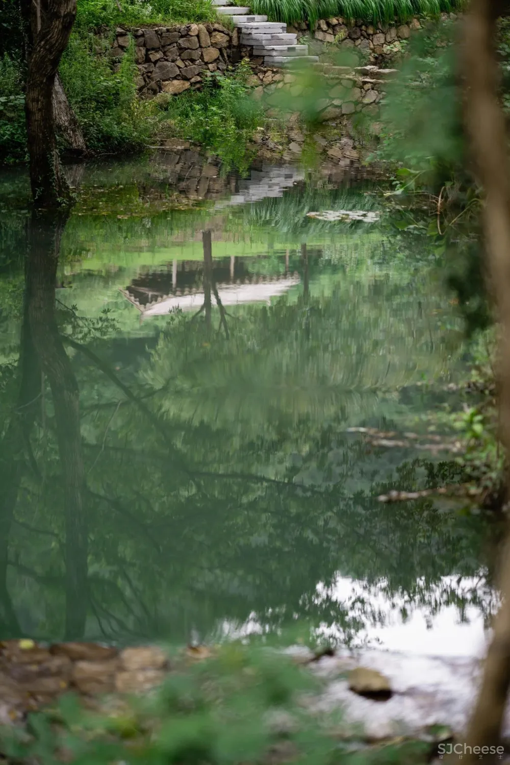 云里安凹：从14户普通民房到142亩精致山居，一座平凡村落的进化史