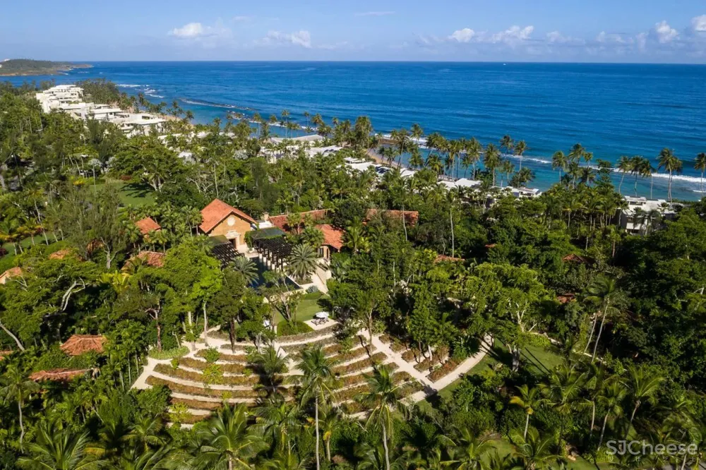 全球仅五间的丽思卡尔顿隐世,日本首家分号年底面世