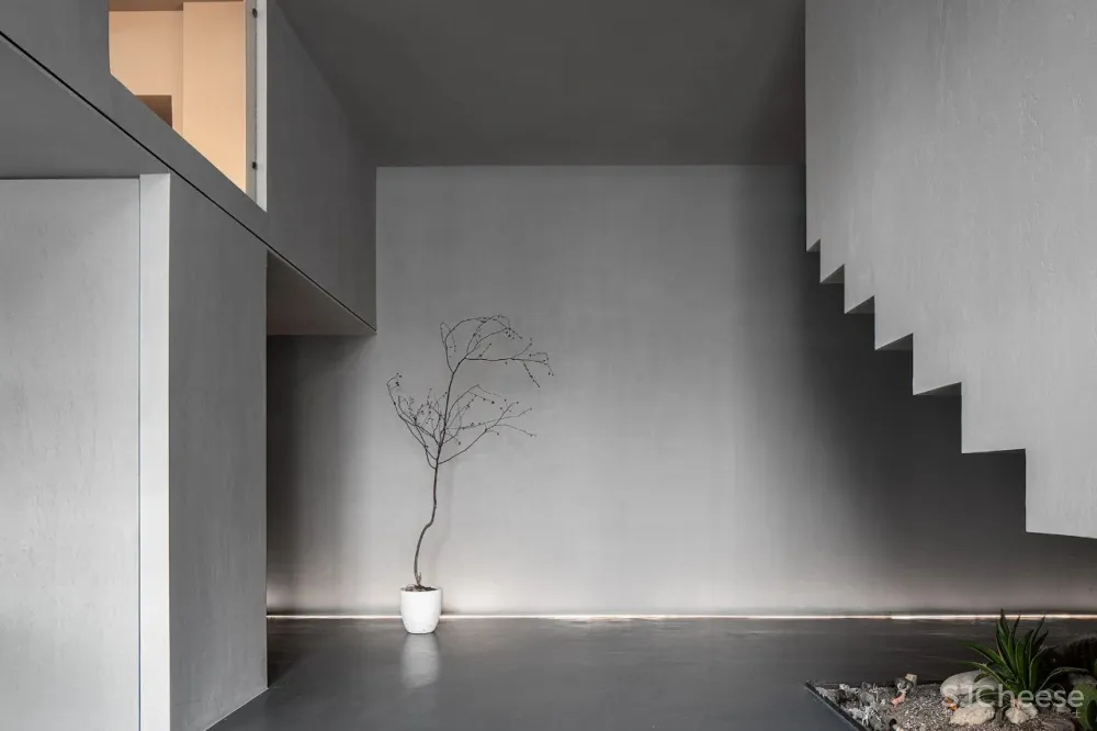 DCD 新作丨福州MOOLIS生活馆