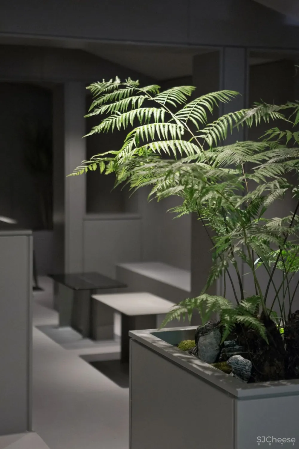 来回咖啡打造去品牌化咖啡文化社区——NCA回顾系列VOL.4