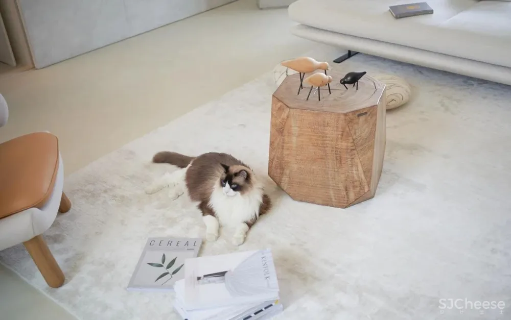 至臻空间,留住光阴里的幸福