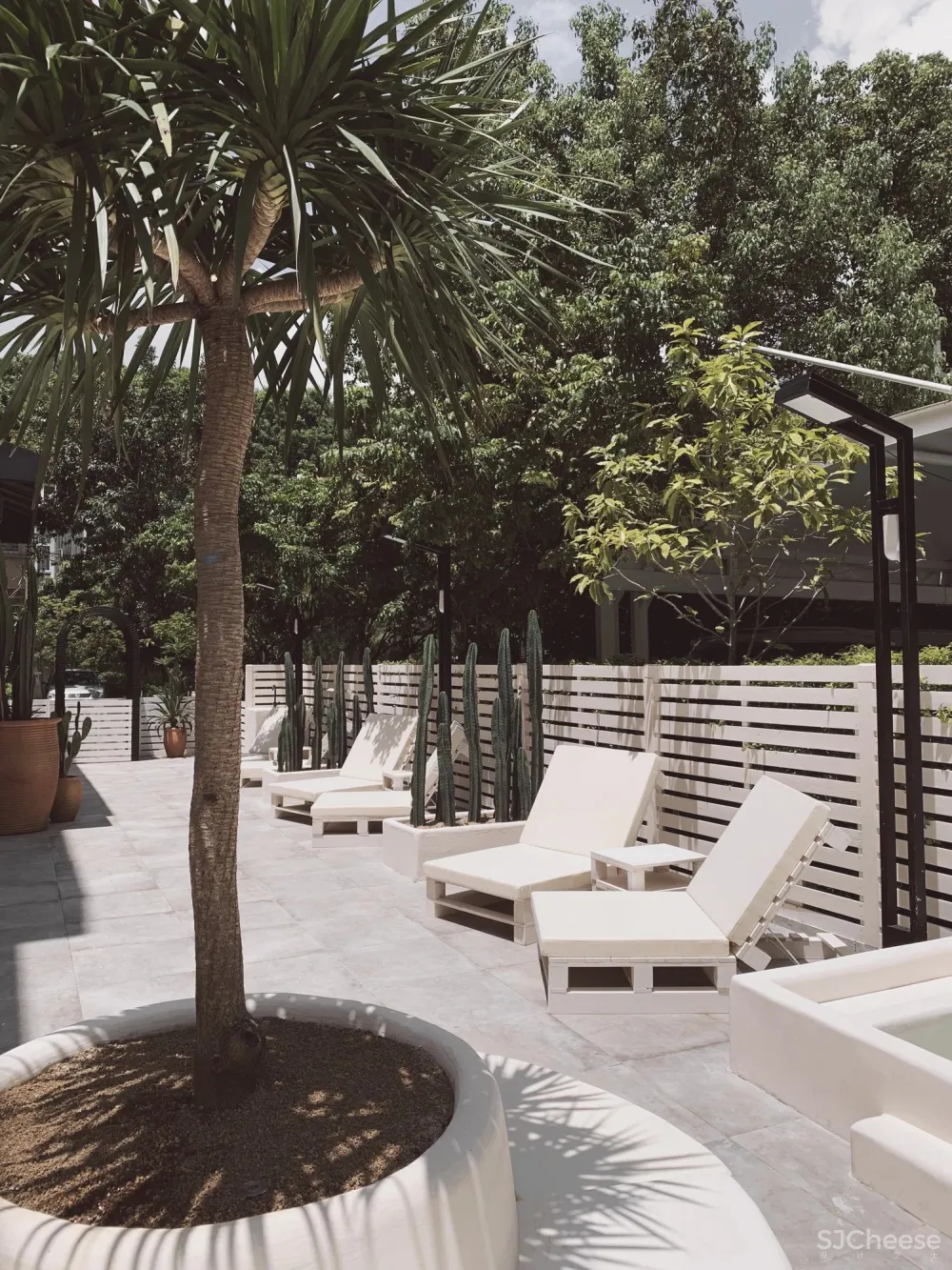 异域调性,打造热带感花园cafe丨睿上形素