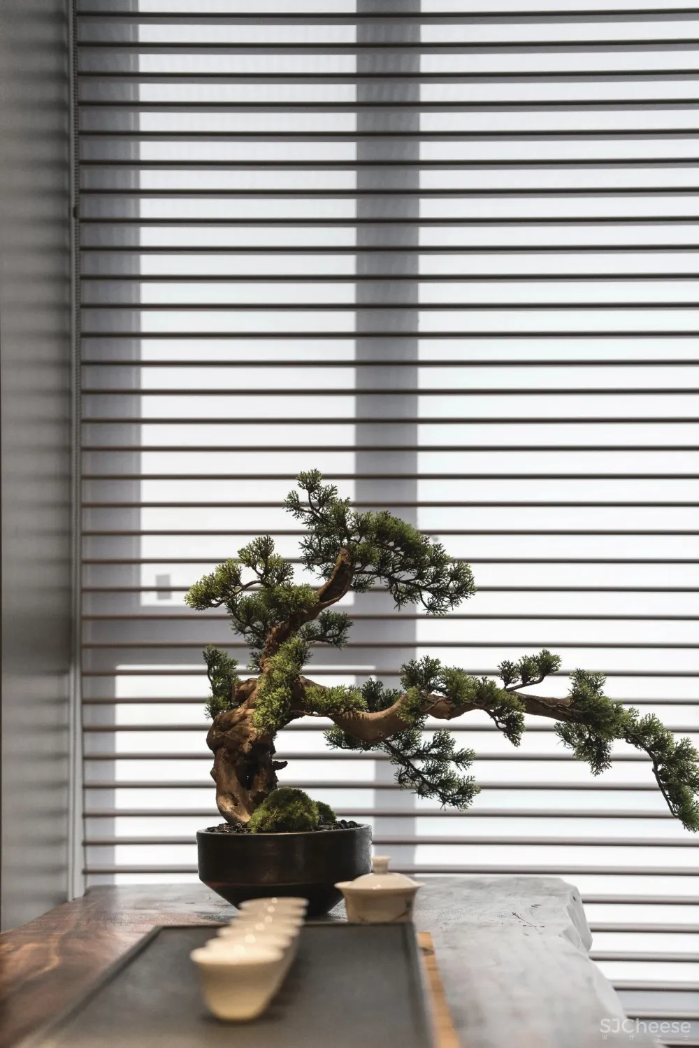 武汉保利大都会 理想湖居生活