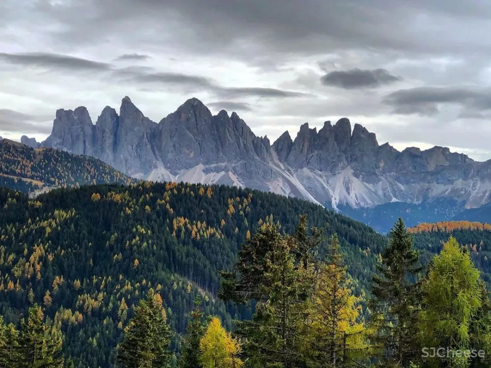 我向往的森林秘境 丨 意大利最新揭幕的心灵治愈酒店