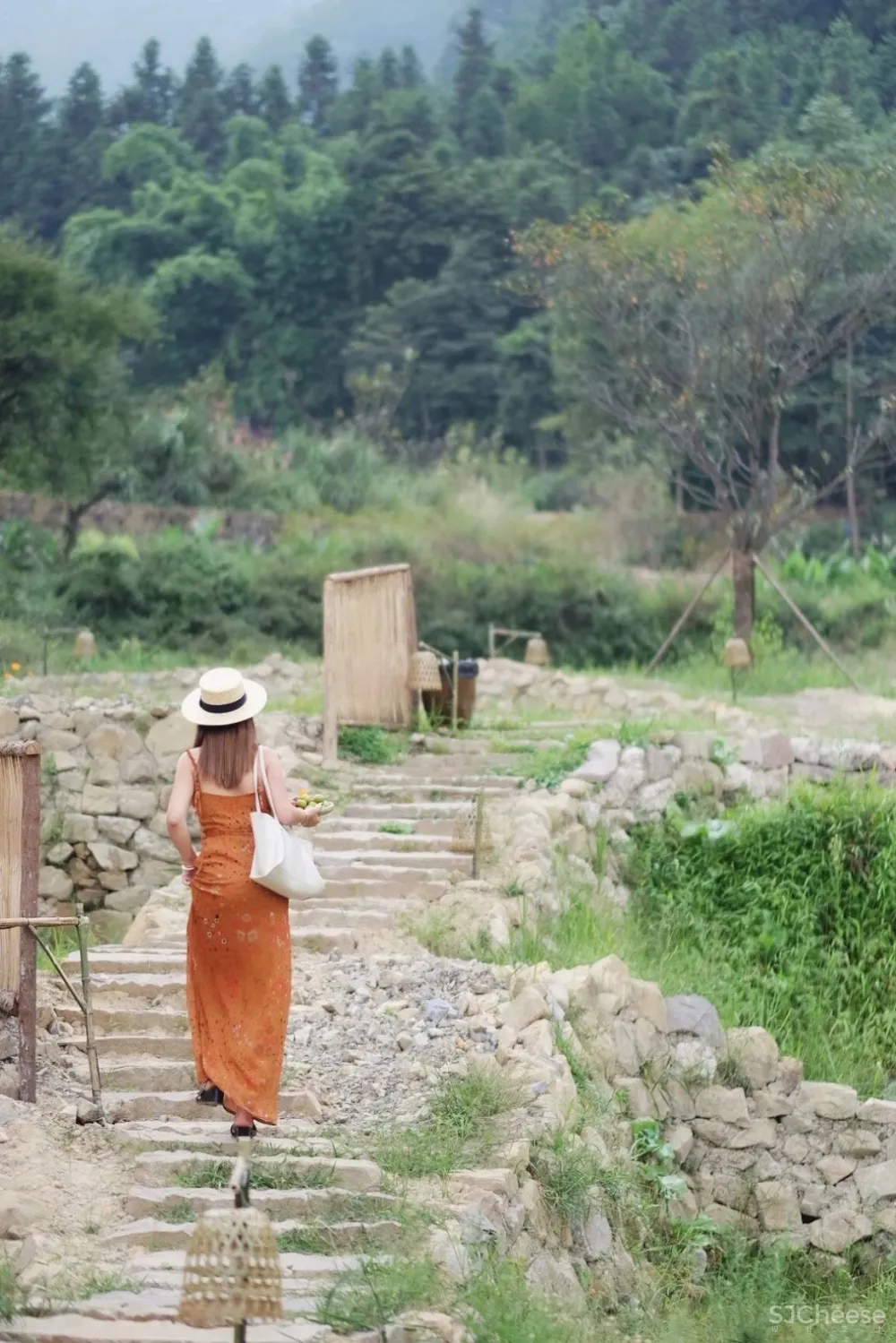 比清迈更清凉的同款田园生活!告别高温,不用防晒没有蚊虫,睡入云端的稻田之上!
