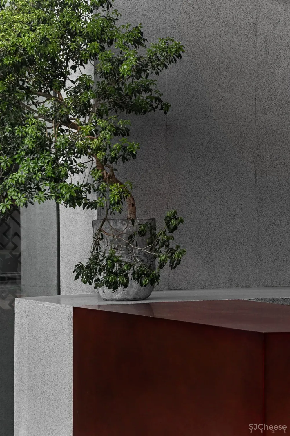 绽放设计:深圳大益茶体验馆,重新定义传统茶品牌