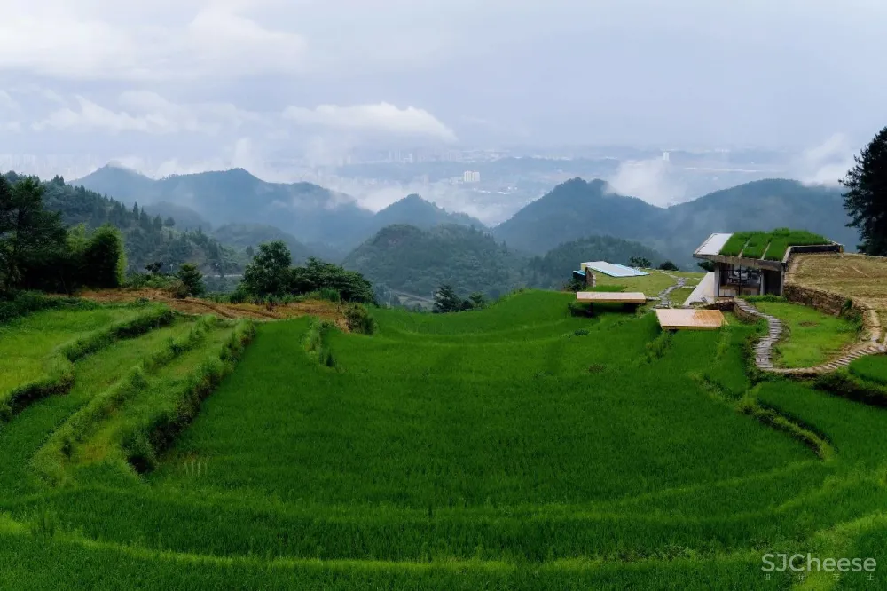 比清迈更清凉的同款田园生活!告别高温,不用防晒没有蚊虫,睡入云端的稻田之上!