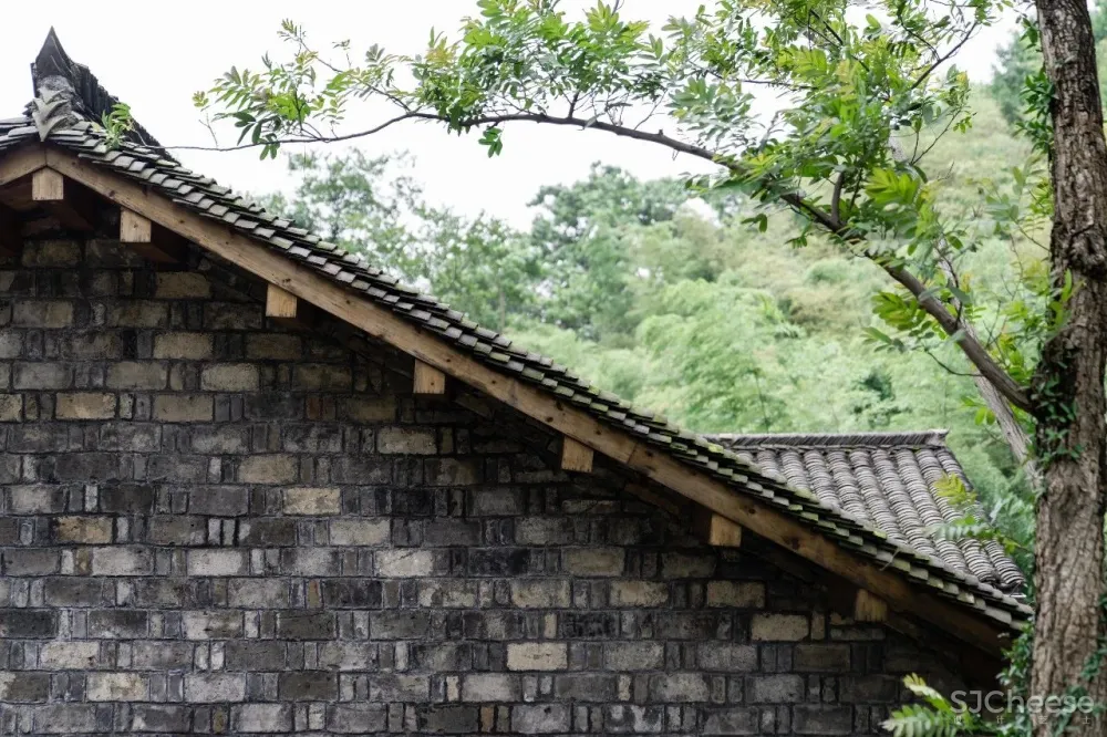 云里安凹：从14户普通民房到142亩精致山居，一座平凡村落的进化史