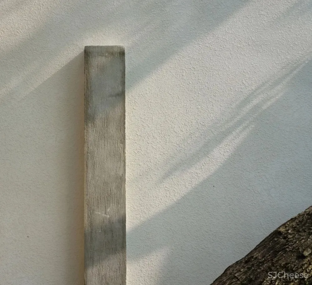 上海 100㎡ 小宅院,花 6 年建成,设计处处有亮点