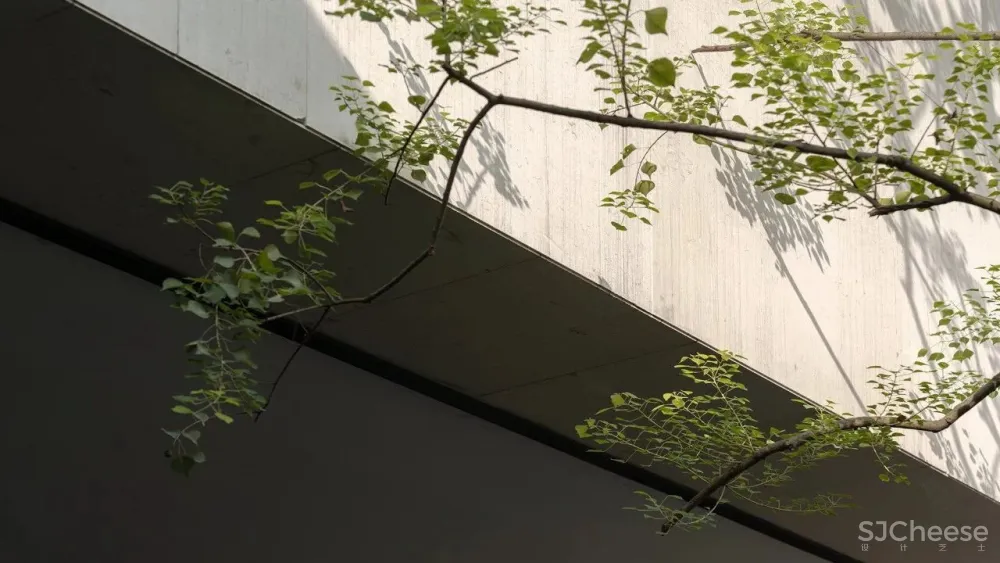 ENJOYDESIGN丨重庆万科星光森林，城市人文 诗性自然