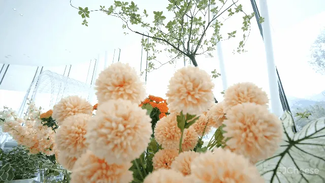 SWS 作品 停靠在青岛小镇上的四季花房:青岛西海岸云中花社咖啡馆