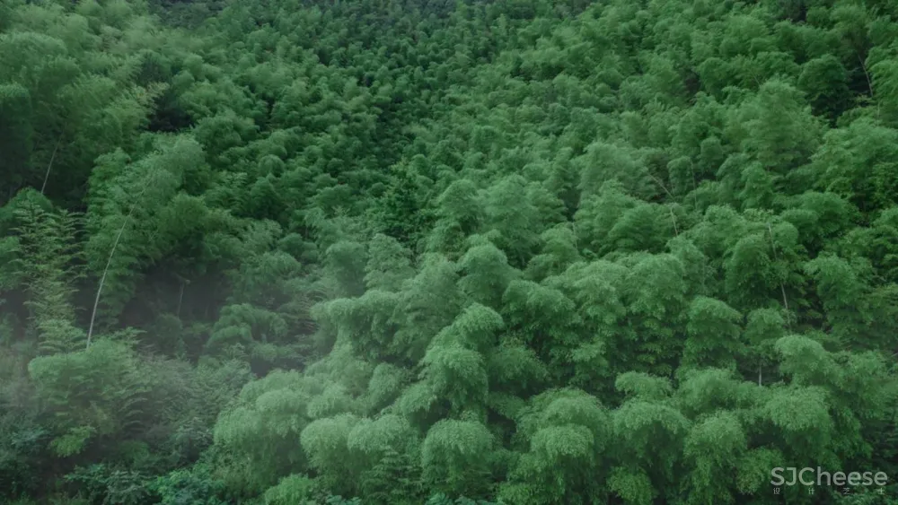 宋卫平首个现代山居别墅 绿城安吉桃花源未来山