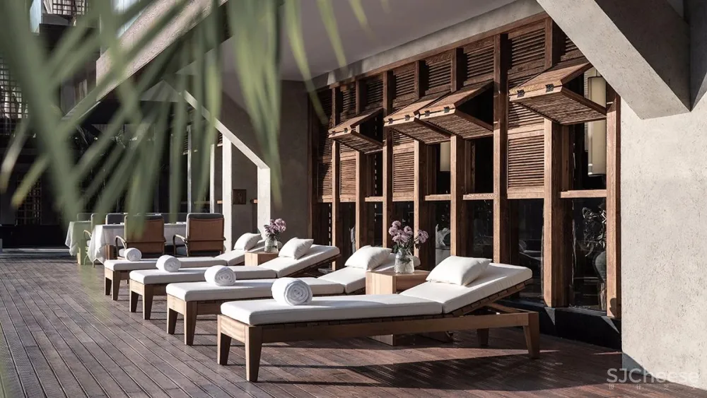 张灿新作 归隐到热带雨林中!