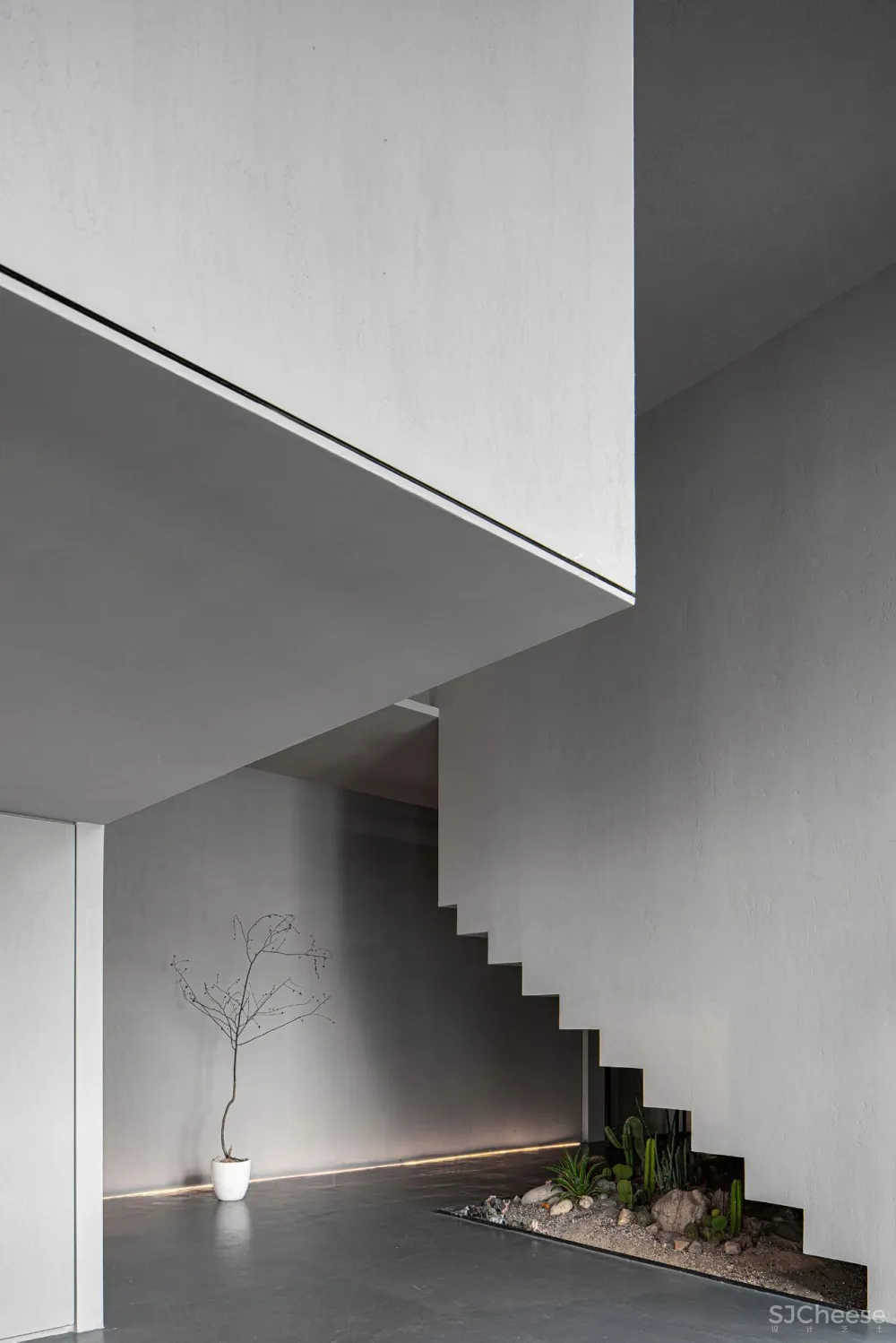 DCD 新作丨福州MOOLIS生活馆