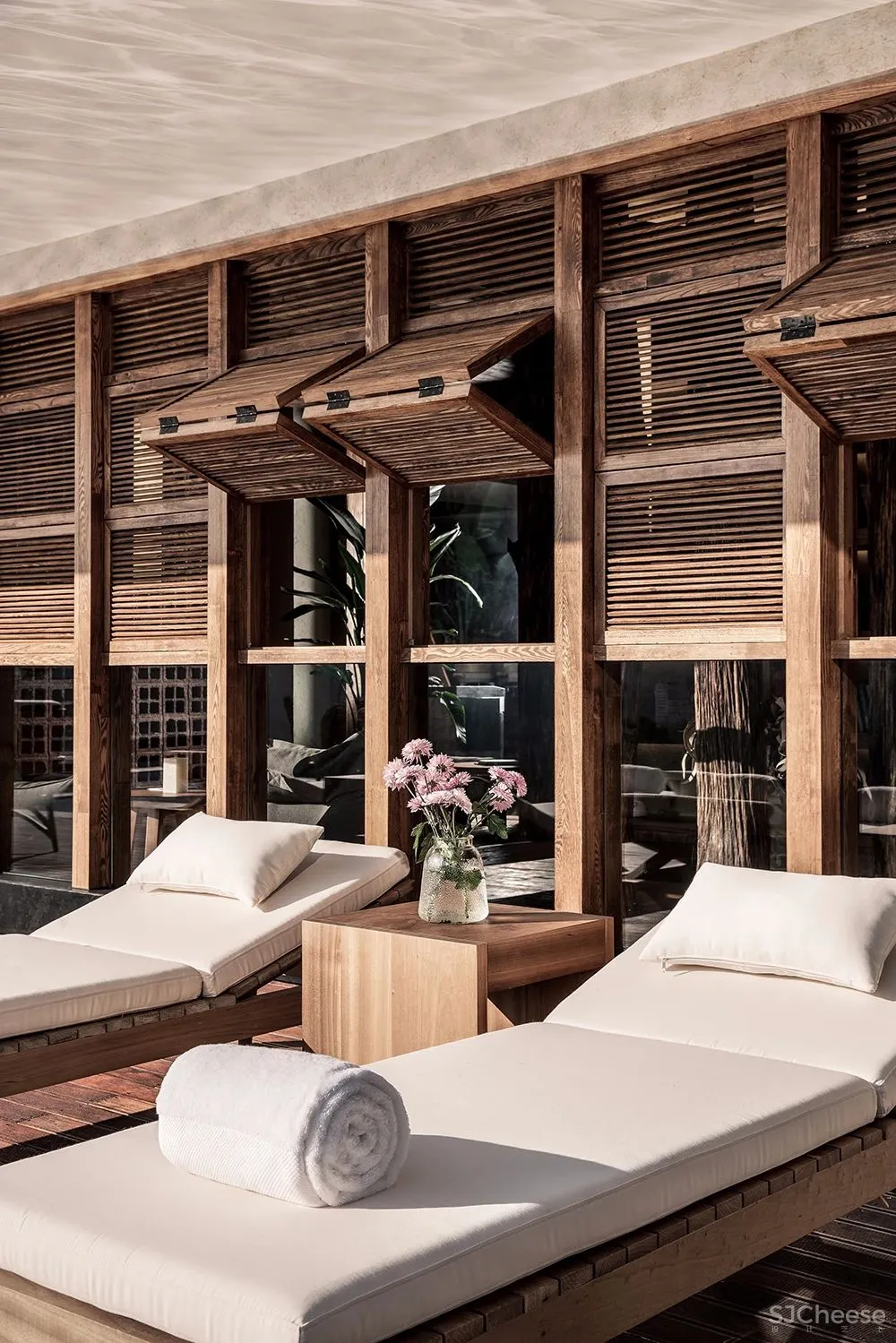 张灿新作 归隐到热带雨林中!