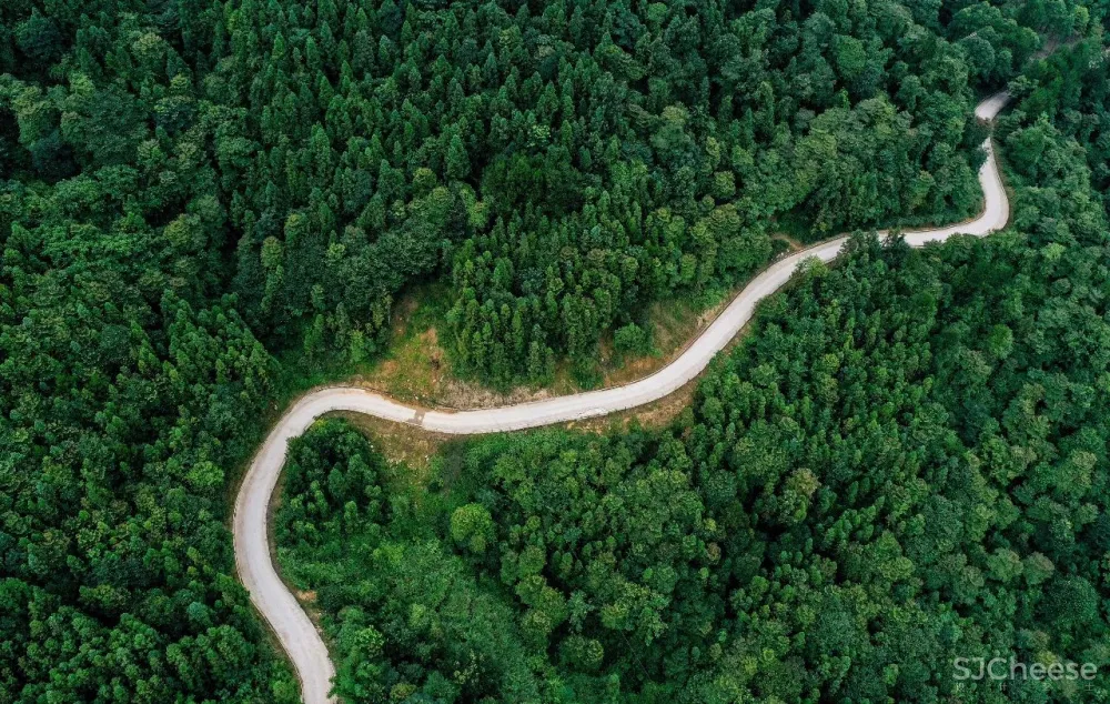 比清迈更清凉的同款田园生活!告别高温,不用防晒没有蚊虫,睡入云端的稻田之上!