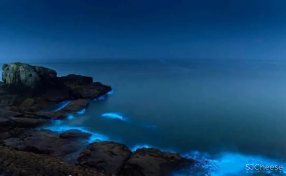 元禾大千设计丨星辰与大海，是征途也是起点