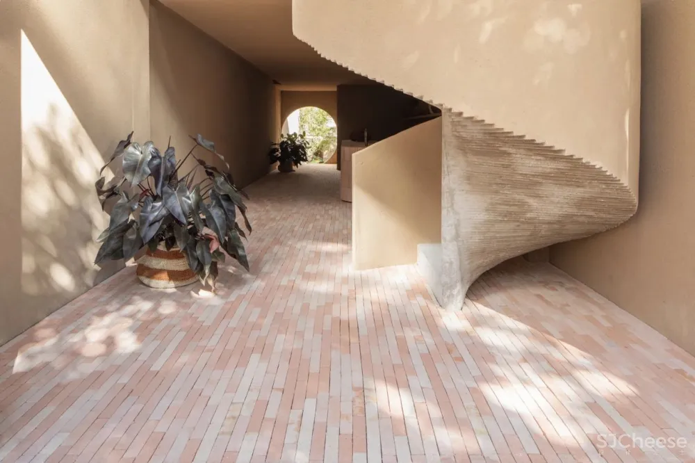 MNMA STUDIO在圣保罗的TERRACOTTA梦想中的两种热带风情。