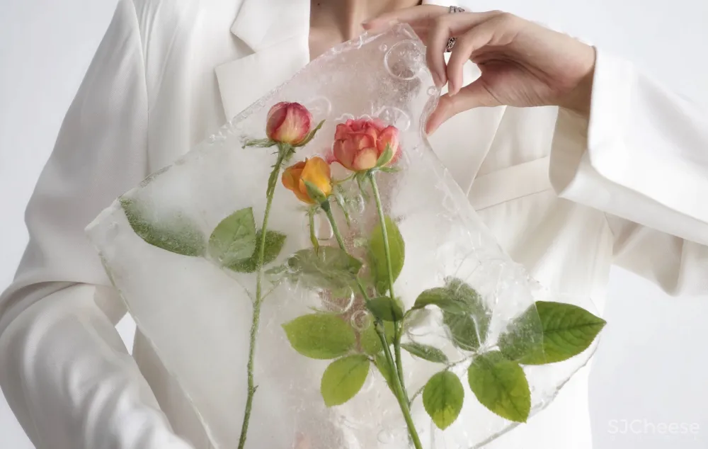 对话孟也 全新软装品牌从心出发 · 你好,WHYGARDEN