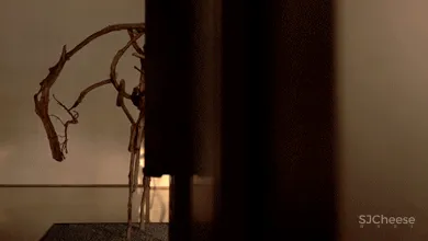 CCD 送你一個長安,很多相遇不過是久別重逢