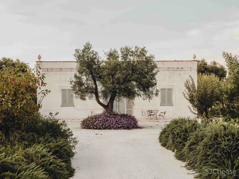 5万一周的意大利民宿长啥样?朴素的设计,大白墙也高级