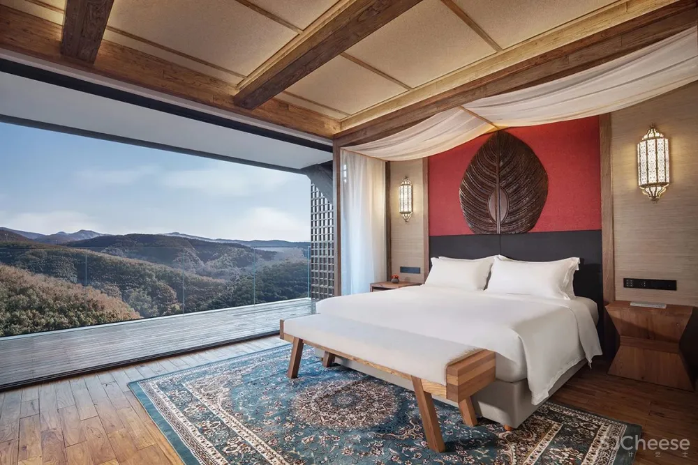 张灿新作 归隐到热带雨林中!