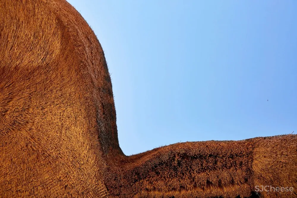跨界狂人竟用茅草打造超级鸟巢住宅，这就是怪诞的野奢生活！