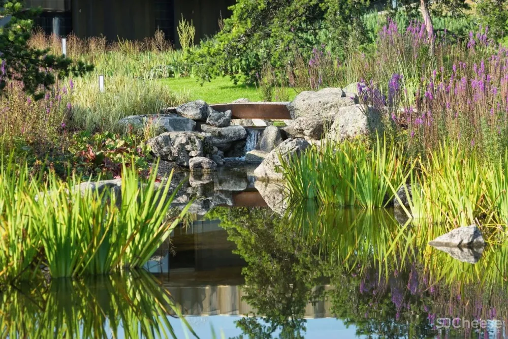 5300m² 农村超级豪宅,将家打造成生态游乐园,还自带足球场!