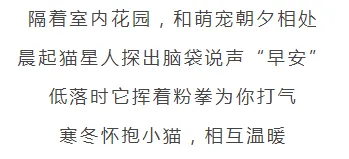 169㎡现代中式雅宅,清新质朴,演绎岁月静好