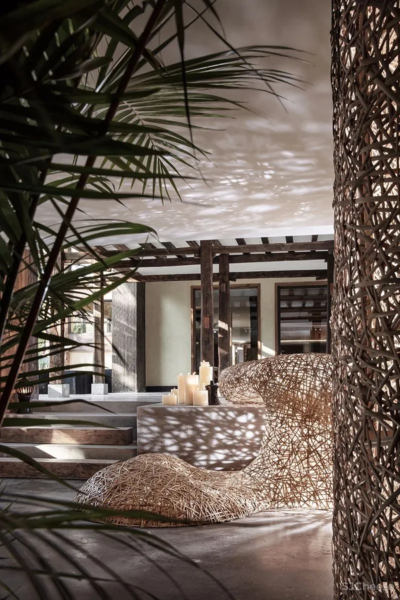 张灿新作 归隐到热带雨林中!