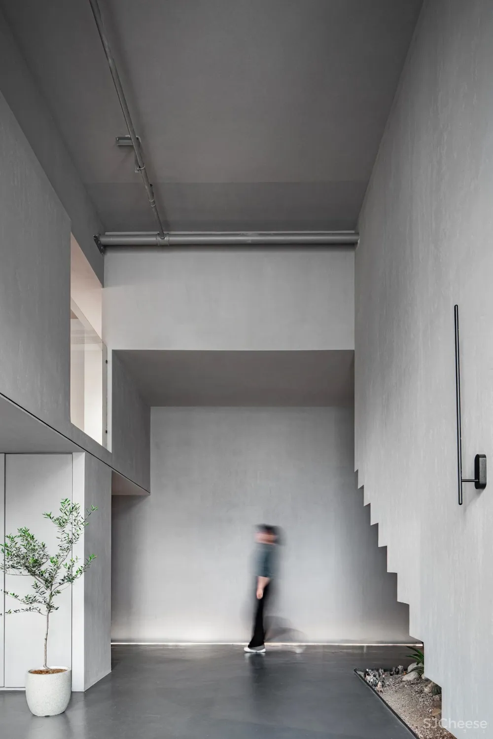 DCD 新作丨福州MOOLIS生活馆