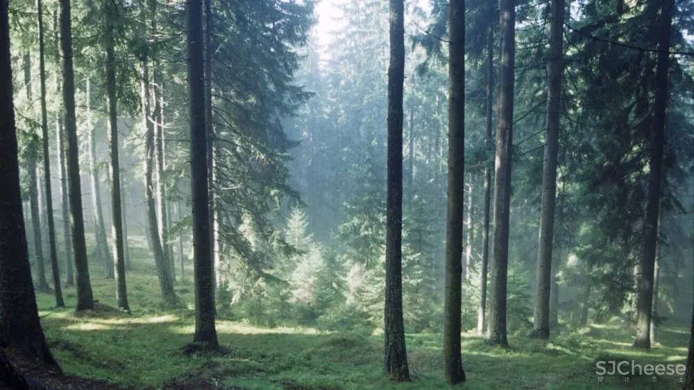 我向往的森林秘境 丨 意大利最新揭幕的心灵治愈酒店