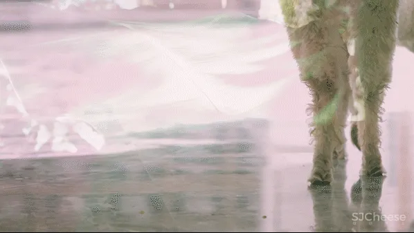 刘卫军新作 大自然宁静致远