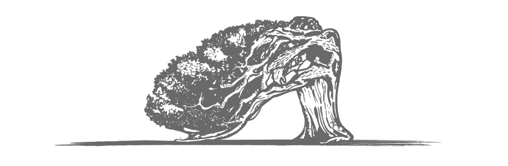 18个建筑大师,在一座岛上设计了50栋私人别墅,耗资28亿,原来融入自然才是真正的奢华