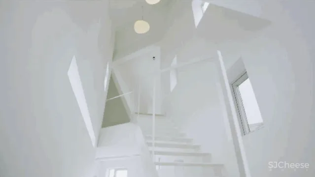 我家有地,为什么要造丑房子?上海夫妻200万造出极简别墅