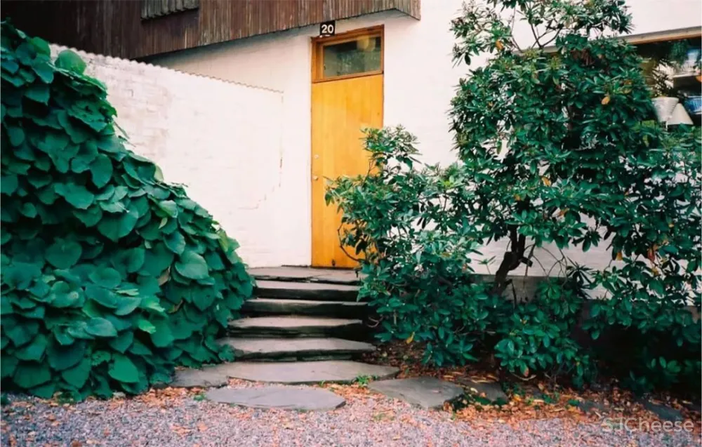 建筑大师设计的梦幻住宅,你必须看看!