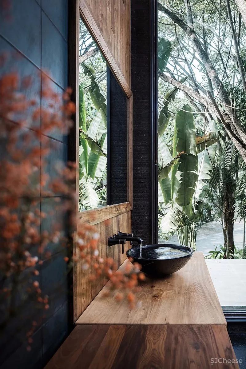 张灿新作 归隐到热带雨林中!