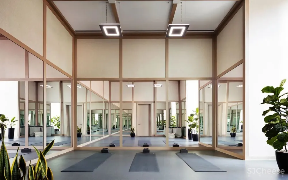 Real estate 美国楼盘 时尚炫酷