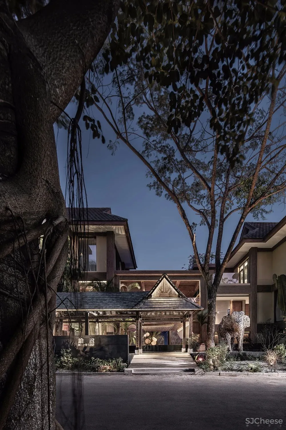 张灿新作 归隐到热带雨林中!