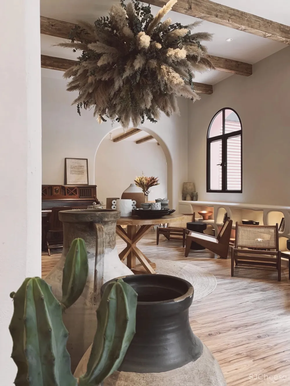 异域调性,打造热带感花园cafe丨睿上形素