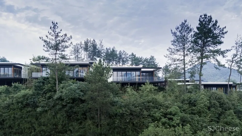 宋卫平首个现代山居别墅 绿城安吉桃花源未来山