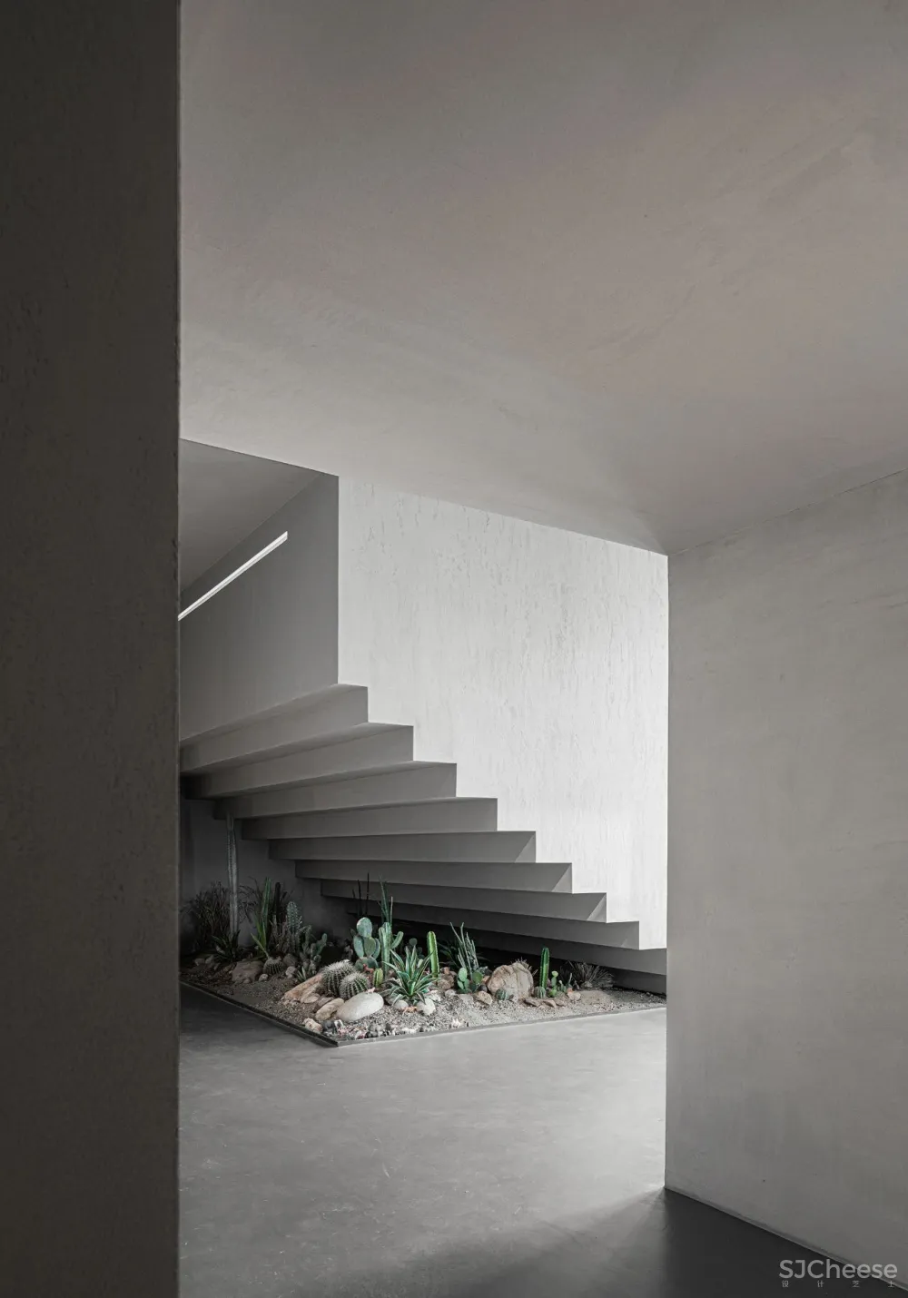 DCD 新作丨福州MOOLIS生活馆