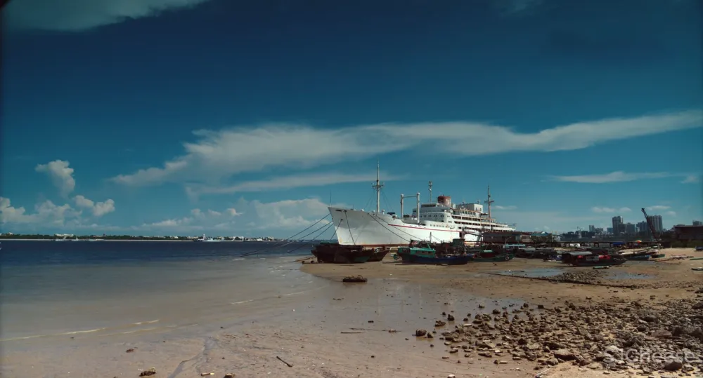 中产夫妇上海啃青菜,老家买豪宅:打飞的也要回去找快乐