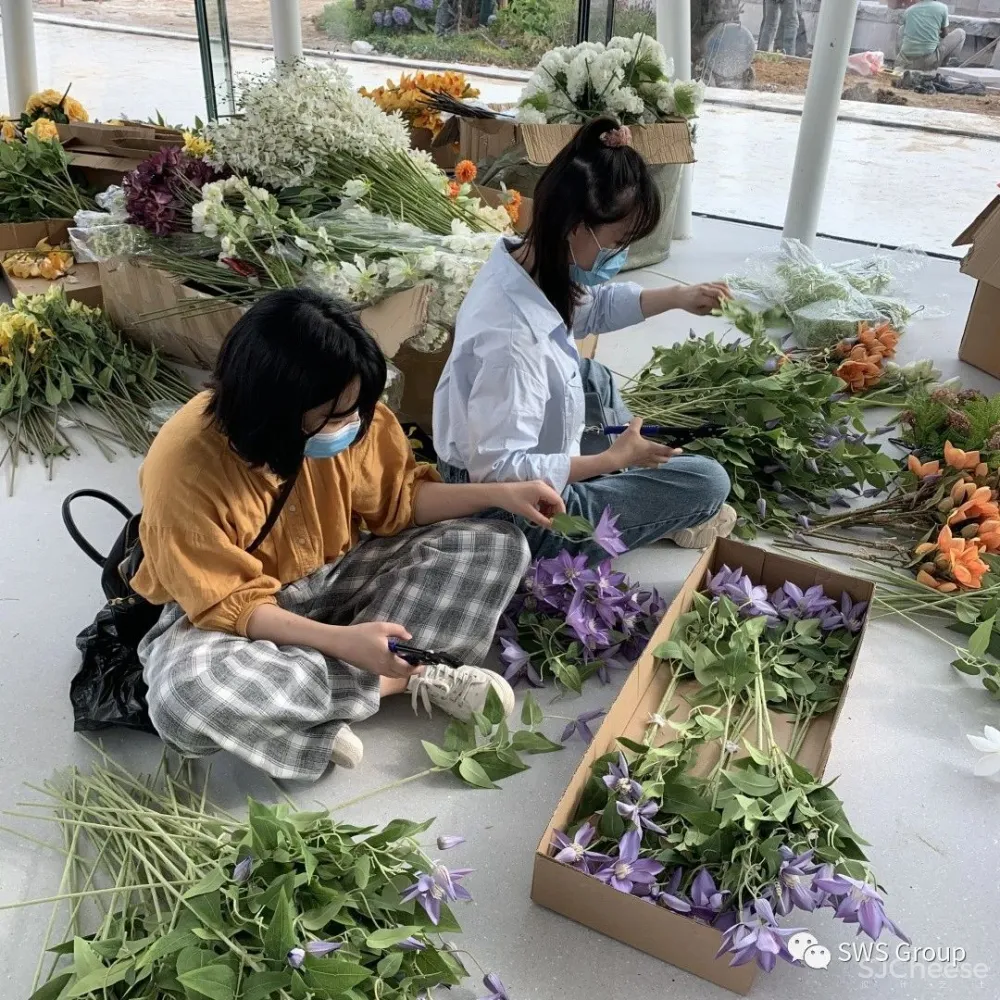 SWS 作品 停靠在青岛小镇上的四季花房:青岛西海岸云中花社咖啡馆