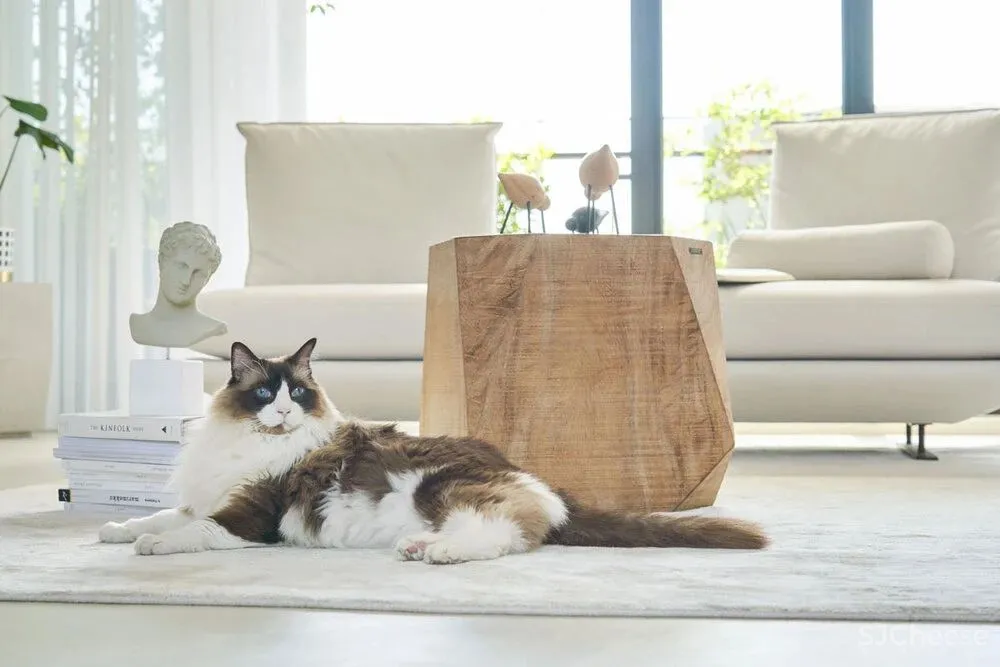 至臻空间,留住光阴里的幸福