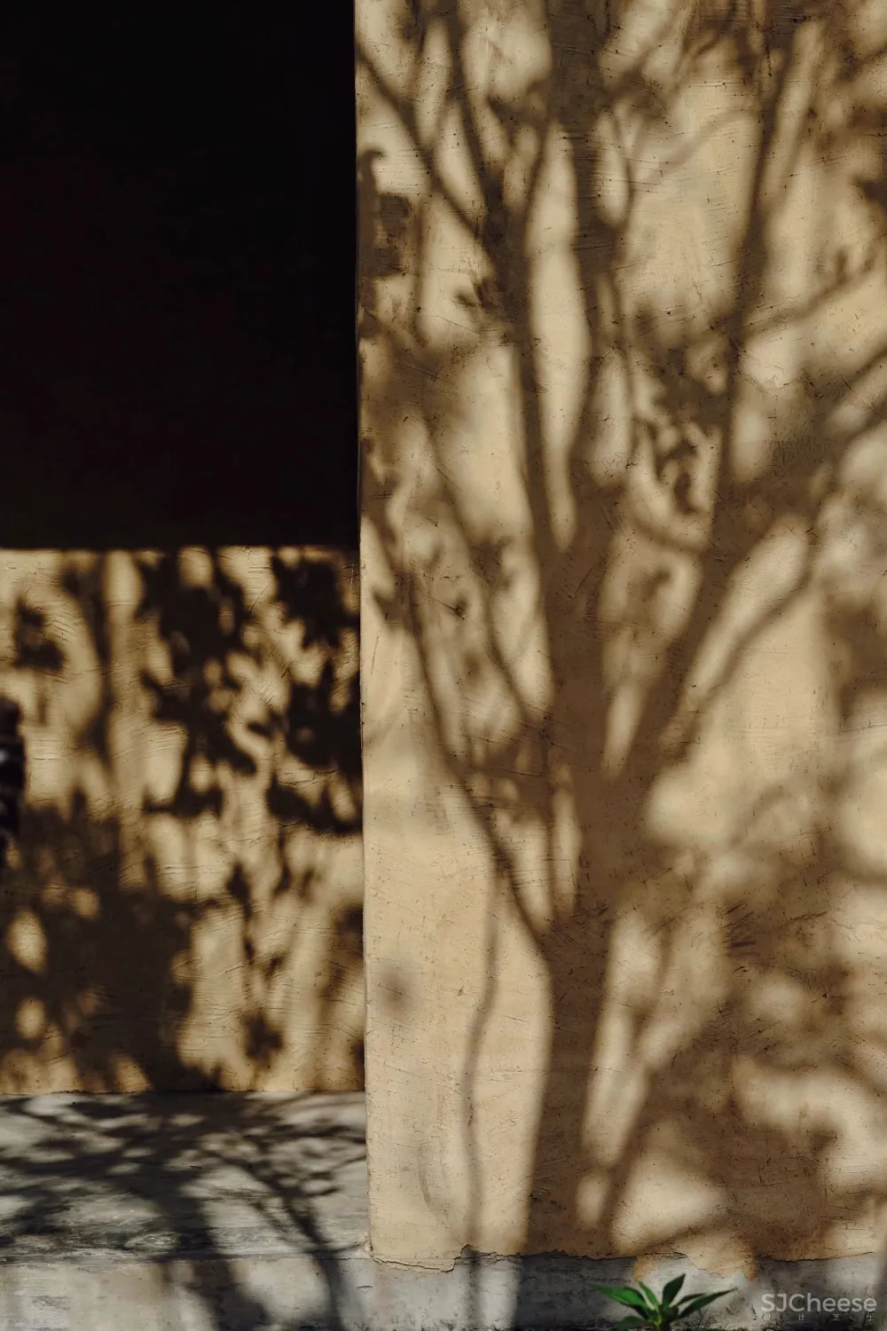 比清迈更清凉的同款田园生活!告别高温,不用防晒没有蚊虫,睡入云端的稻田之上!