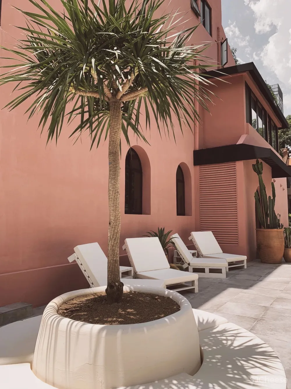 异域调性,打造热带感花园cafe丨睿上形素