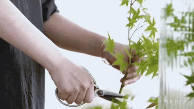 我家有地,为什么要造丑房子?上海夫妻200万造出极简别墅