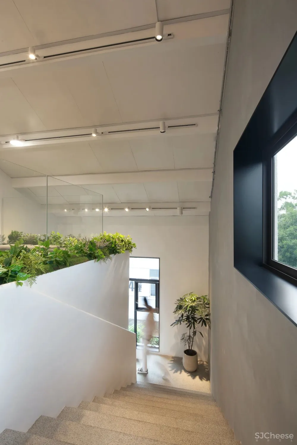 无垠设计 × 欢牛蛋糕屋工厂店:奶油蛋糕盒子